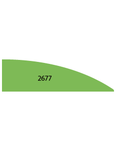 LISTWY DRZWIOWE PROFIL 2677 22 × 78 MM