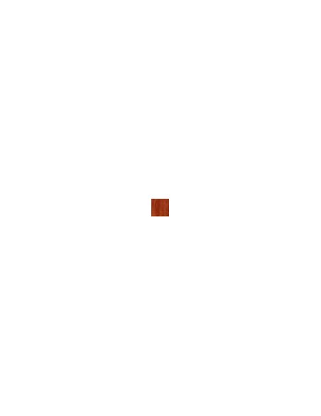 PROGI DRZWIOWE PROFIL 20X 20 × 70 MM