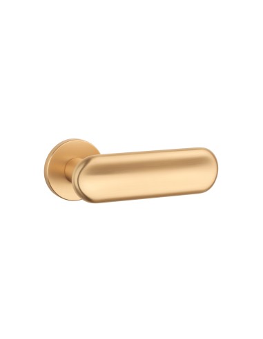 KLAMKA APRILE NARCISSA ROZETA R SLIM 7MM KG - ZŁOTY MATOWY