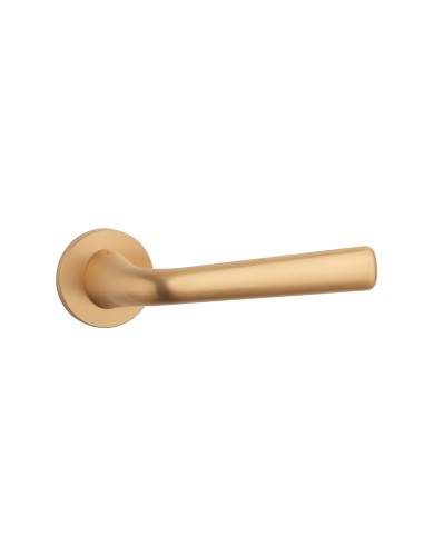 KLAMKA APRILE TULIPA ROZETA R SLIM 7MM KG - ZŁOTY MATOWY