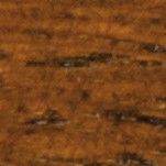 DĄB RUSTYKALNY